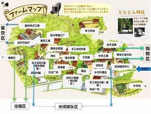 排队去赏猪,200亩赚4.5亿,我只服mokumoku农场!